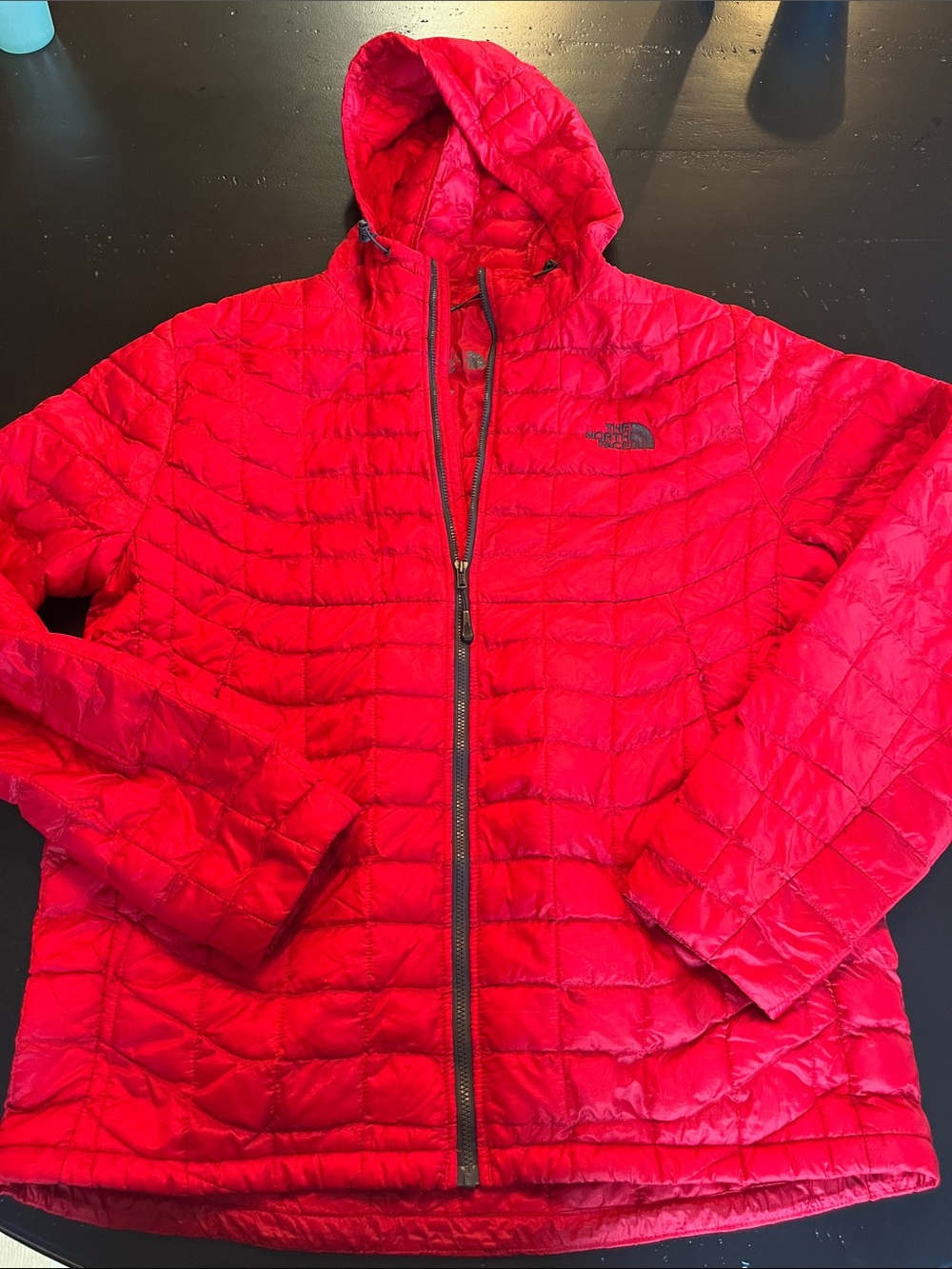 The North Face Red Quilted Hooded Puffer Jacket
